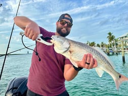 Blacktip Shark Fishing in Sarasota, Florida