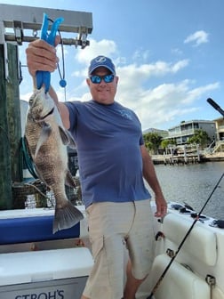 Fishing in Clearwater, Florida