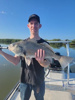 Black Drum Fishing in New Smyrna Beach, Florida