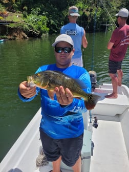 Fishing in Dorado, Puerto Rico