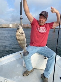 Black Drum Fishing in Orange Beach, Alabama