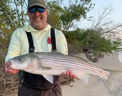 Striped Bass Fishing in Stone Harbor, New Jersey