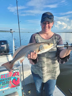 Snook Fishing in New Smyrna Beach, Florida