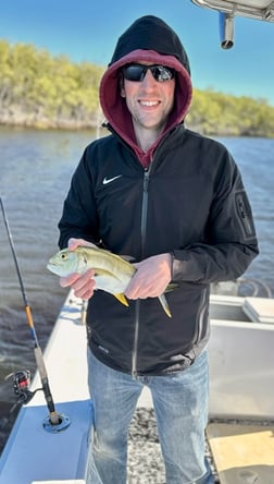 Snook Fishing in Jupiter, Florida