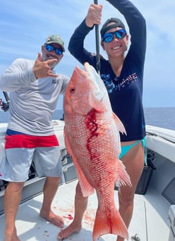 Red Snapper Fishing in Clearwater, Florida