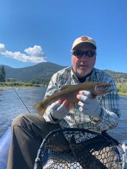 Rainbow Trout fishing in Deer Lodge, Montana