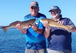 Redfish Fishing in Charlotte Harbor, Florida