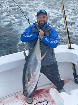 King Mackerel / Kingfish fishing in Fort Lauderdale, Florida