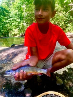 Fishing in Blue Ridge, Georgia