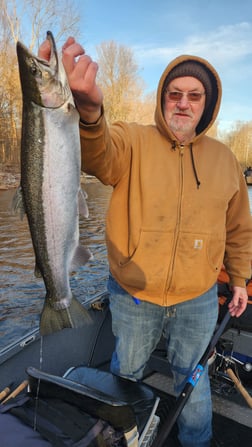 Steelhead Fishing in Verona Beach, New York