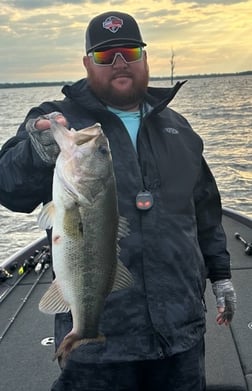 Largemouth Bass Fishing in Alba, Texas