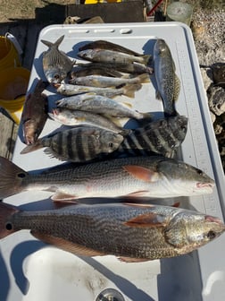 Fishing in Fort Myers Beach, Florida