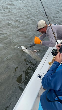 Fishing in Little River, South Carolina