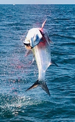 Tarpon fishing in Galveston, Texas