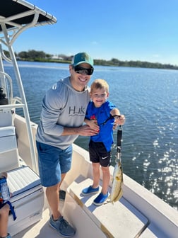 Snook Fishing in Sarasota, Florida