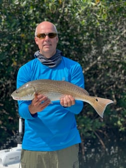 Snook Fishing in Tampa, Florida