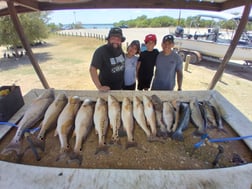 Blue Catfish, Redfish fishing in San Antonio, Texas