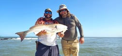 Fishing in Mount Pleasant, South Carolina