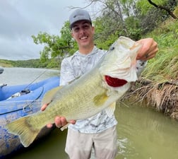 Largemouth Bass fishing in Graford, Texas