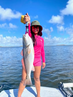 Redfish Fishing in Corpus Christi, Texas