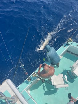 Fishing in Miami Beach, Florida