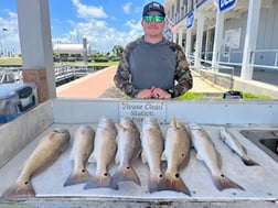 Speckled Trout / Spotted Seatrout fishing in Galveston, Texas