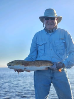 Redfish Fishing in Saint Marks, Florida