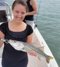 Florida Pompano, Sheepshead Fishing in Sarasota, Florida