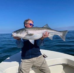 Hybrid Striped Bass Fishing in Nantucket, Massachusetts