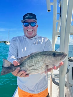 Mangrove Snapper Fishing in Key West, Florida