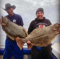 Yellowtail Amberjack Fishing in Oxnard, California