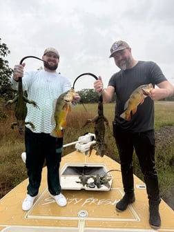 Fishing in Miami, Florida