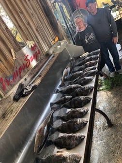 Fishing in Biloxi, Mississippi