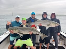 Striped Bass Fishing in Montauk, New York