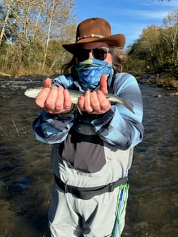 Fishing in Broken Bow, Oklahoma