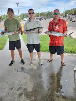 King Mackerel / Kingfish Fishing in Jacksonville, Florida