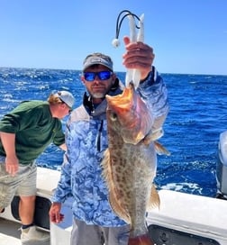 Snowy Grouper Fishing in Gulf Shores, Alabama