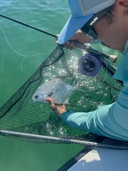 Fishing in Key West, Florida