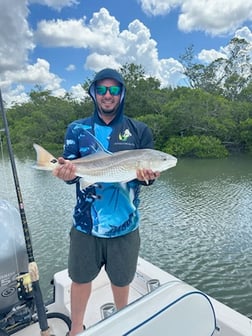 Snook Fishing in Naples, Florida