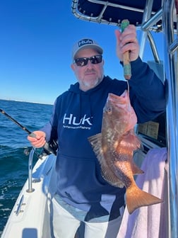 Fishing in Destin, Florida