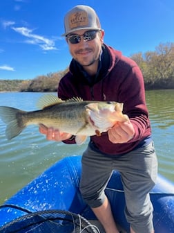 Largemouth Bass Fishing in Graford, Texas