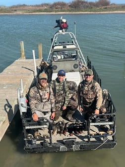 Northern Pintail Fishing in Port Aransas, Texas