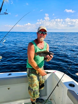 Scup Fishing in Stone Harbor, New Jersey