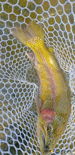 Fishing in Broken Bow, Oklahoma