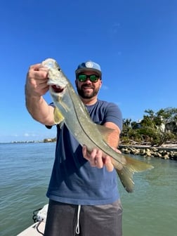 Fishing in Sarasota, Florida