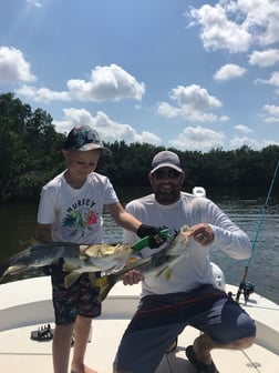 Snook Fishing in St. Petersburg, Florida