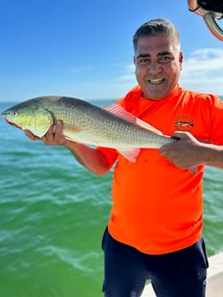 Fishing in Cape Coral, Florida