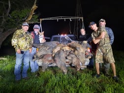 Hog Hunting in Bowie, Texas