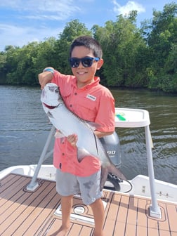 Tarpon fishing in San Juan, Puerto Rico