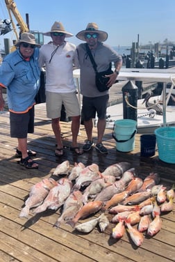 Red Grouper Fishing in Cape Coral, Florida